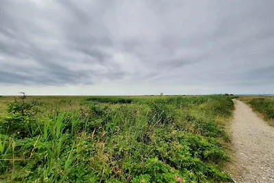 Zeezijde paradijs in oer -- By Traum...