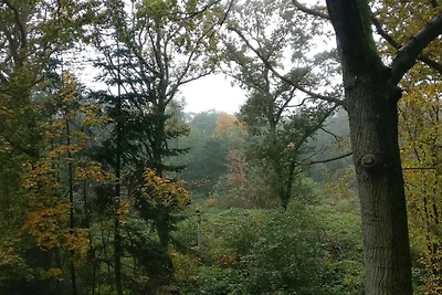 Ferienhaus Erholungsurlaub Hadsund