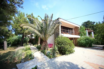 Ferienhaus in Starigrad Paklenica
