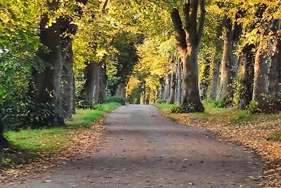 Nachhaltiges Ferienhaus in Steinheim