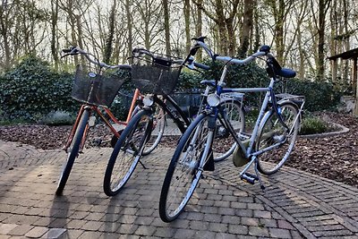 Leuk vakantiehuis met terras voor gezin