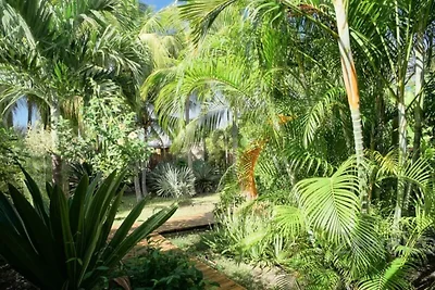 Mobilheim - Bungalow - Cottage für 6 Personen