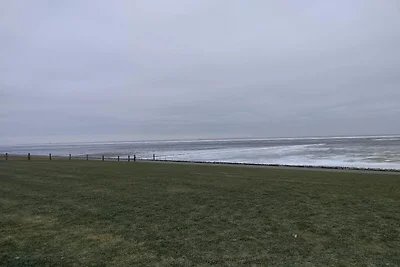 Penthouse aan het Noorderstrand op de dijk