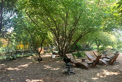 Stupenda yurta della mongola in Provenza