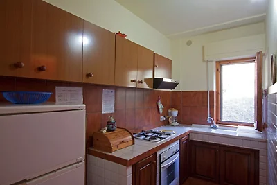 Ferienhaus in Pacaino mit Pool