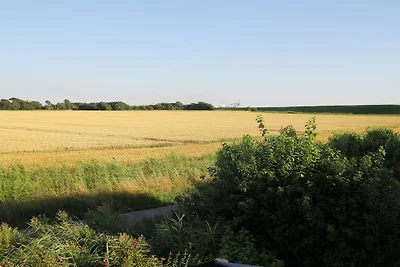 Ferienhaus in Wremen mit Schwimmbecken