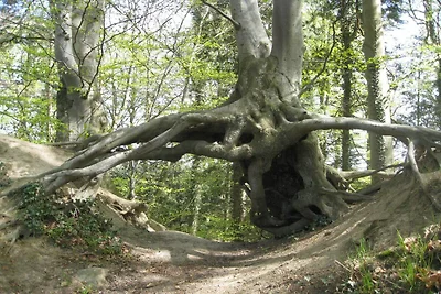 4 Personen Ferienhaus in Vordingborg-By Traum