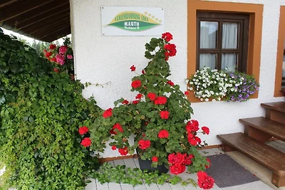 Apartament wakacyjny w Mauth z basenem