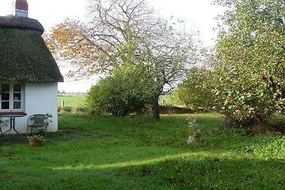 Ferienhaus mit 2 Schlafzimmer