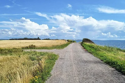 4 Personen Ferienhaus in Karrebæksminde