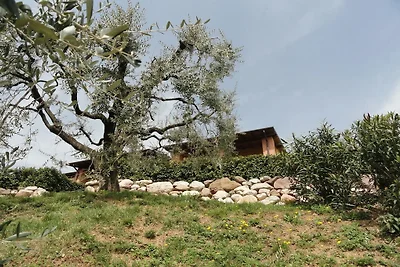 Garden Komfortable Ferienresidenz