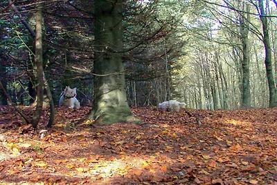 6 persone case ad Toftlund-By Traum