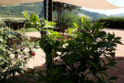 Appartamento in Agriturismo con piscina