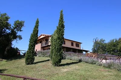 Palazzo moderno a Montefiascone con vasca...