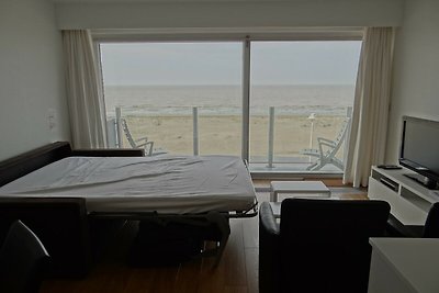 Appartement in Nieuwpoort met zeezicht