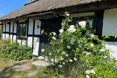 Holzhaus mit rustikalem Charme