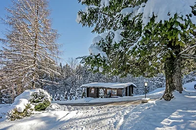 Grazioso chalet con giardino privato a Wörgl