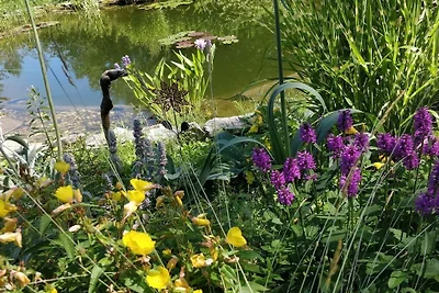 Ferienwohnung in Regen mit Schwimmbecken