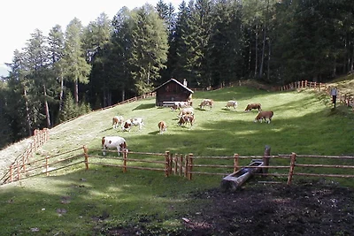 Appartamento per vacanze a Kiens con piscina