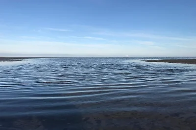 4 Personen Ferienhaus in Læsø-By Traum