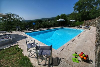 Historic farmhouse with swimming pool, in Mic...