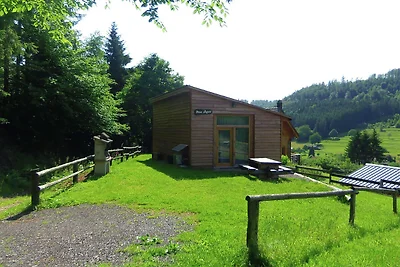 Gemütliches Ferienhaus mit Garten in...