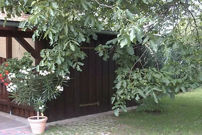 Ferienhaus in der Nähe des Müritzseeufers