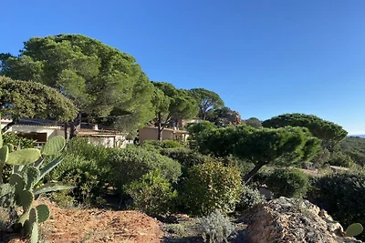 Vakantiehuis Ontspannende vakantie Porto Vecchio
