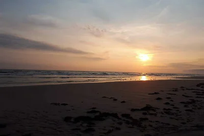 4 Personen Ferienhaus in Fanø-By Traum