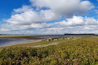 6 persoons vakantie huis in Lemvig