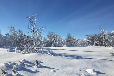 4 Personen Ferienhaus in GEILO