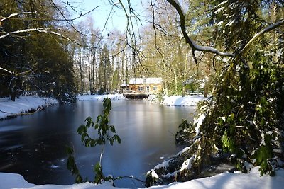 Knus chalet in Limburg met een roeibootje