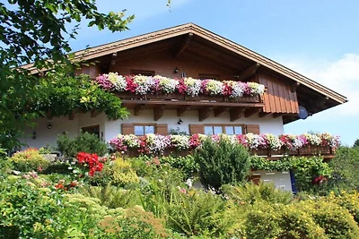 Ferienwohnung in Regen mit Schwimmbecken