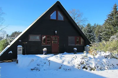 Heidehaus Eichhörnchen