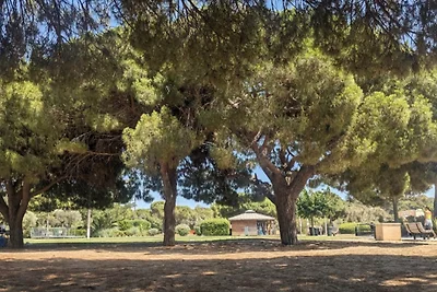 Wohnung in Les Sablettes mit Meerblick