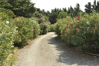 Ferienwohnung mit 1 Schlafzimmer