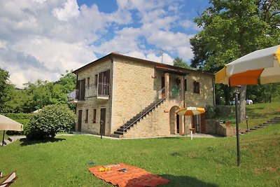 Serene Mansion in Apecchio with Swimming Pool