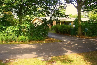 Bungalow Zeeduinen