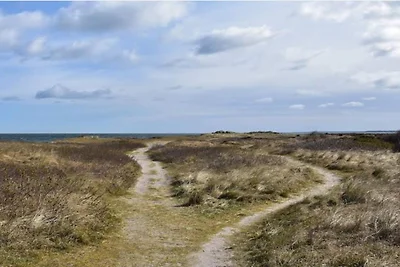 5 Personen Ferienhaus in Rørvig-By Traum