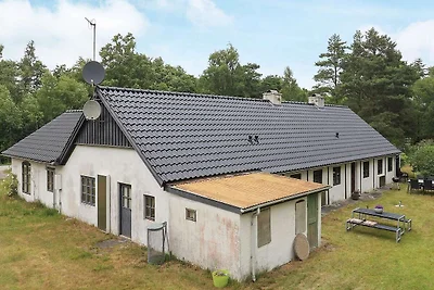 6 persone case ad Læsø-By Traum