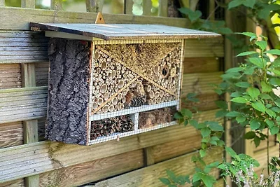 Alte Schule Nausdorf