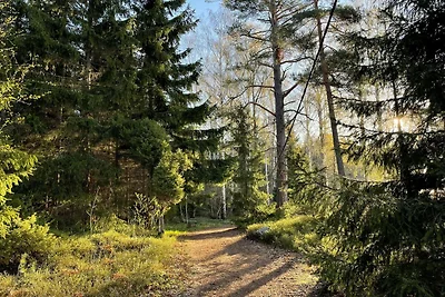 4 Personen Ferienhaus in NORRTÄLJE-By Traum