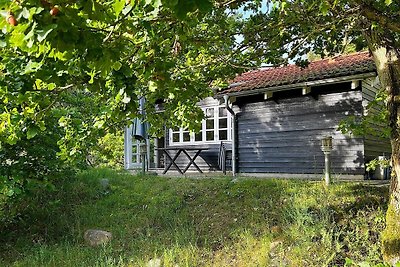 5 persoons vakantie huis in Glesborg