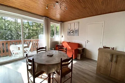 Wohnung in Les 2 Alpes nahe Diable Lift