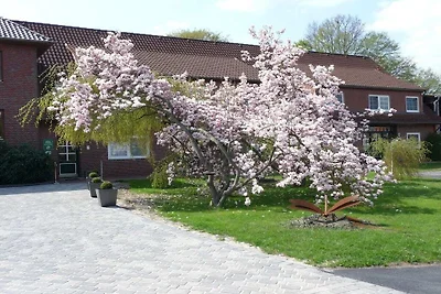 Kuća za odmor Dopust za oporavak Neustadt am Rübenberge