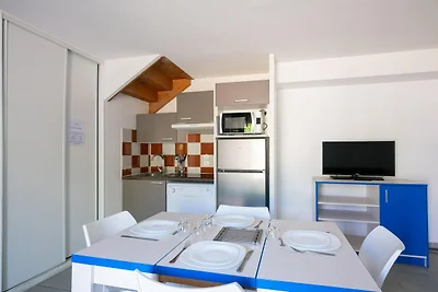 Ruim huis voor 6 personen in Parentis