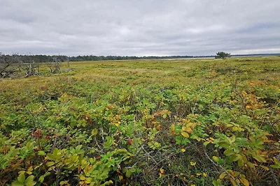 6 Personen Ferienhaus in Højby