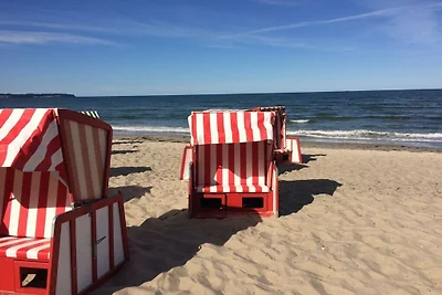 Ferienwohnung in Trent mit Schwimmbecken