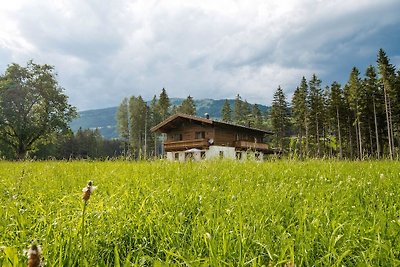 Chalet Freiblick Kleinhaid, Hollersbach