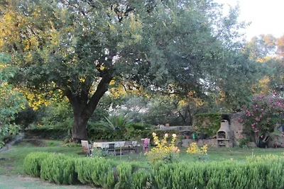 Ferienwohnung mit 1 Schlafzimmer